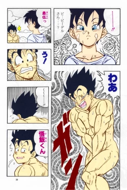 Page 37 of DRAGONBALL H Soushuuhen