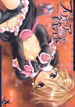 Download プリキュアだから貧乳本