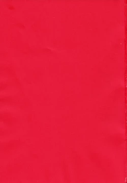 Page 2 of Magical Zundoko Fire