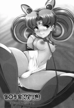 Page 3 of Chibiusa Shiiku Nisshi
