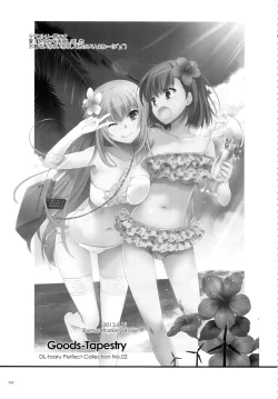 Page 68 of DL - Toaru Soushuuhen 02