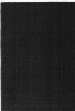 Page 3 of Powerful Seafood Cake