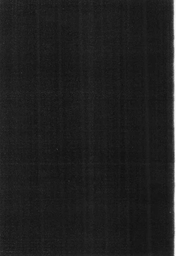 Page 4 of Powerful Seafood Cake