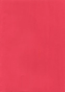 Page 2 of Partner Nante iwa Senai!