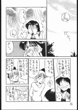 Page 13 of Mejiro