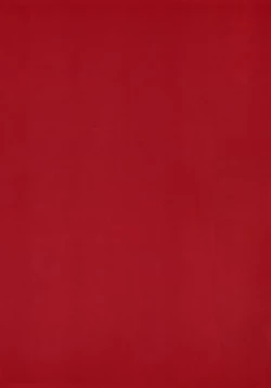 Page 12 of THE BOOK OF RIKO