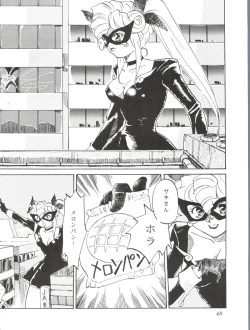 Page 47 of Paparinara Hirahi