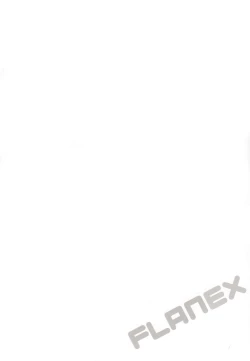 Page 3 of FLANEX