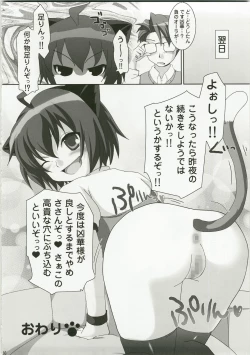Page 20 of Inran Nekozuma Nikki