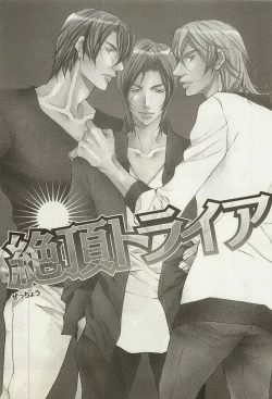 Page 10 of Zeccho Triangle