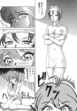 Page 13 of SWEAT&TEARS