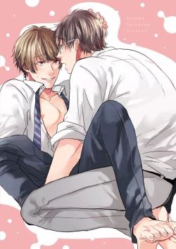 Page 5 of Hajimete wa Mechakucha Hageshii