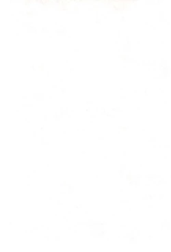 Page 4 of Plutinum 2