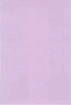 Page 4 of Densetsu no Anime A