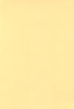 Page 4 of Rizel 12-sai