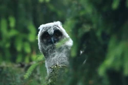 Page 222 of Noraneko Shoujo to no Kurashikata Ch. 4-12