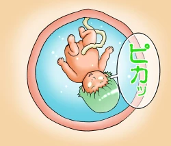 Page 29 of C.C. ga Ushiro kara Mae kara Yarareteru!