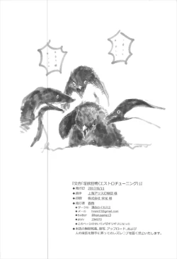 Page 25 of Kougou "Estro Tuning"