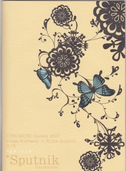 Page 23 of Sputnik Introduction