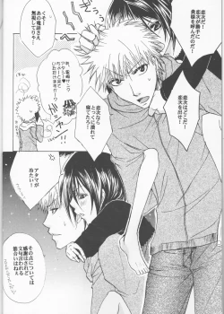 Page 4 of Sputnik Introduction