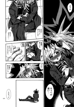 Page 229 of RE:WW4 AURORA Shirizu Sairoku-Shuu