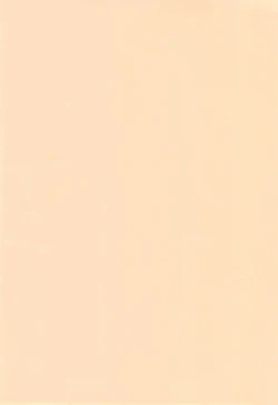 Page 3 of CONDENSED WIFE