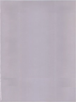 Page 4 of MisaOnly 2