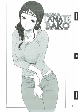 Page 2 of Akete Kuyashiki TAMATEBAKO