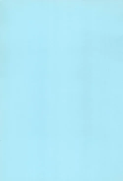 Page 3 of SWEET TRAP TWIN