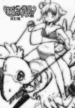 Page 2 of Shima Pan Taichou ga Iku!!