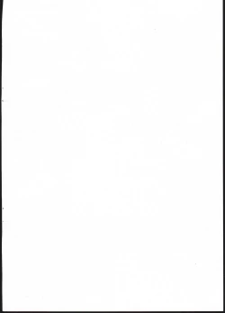 Page 2 of Harvin Seitai Chousa Kiroku File. 2