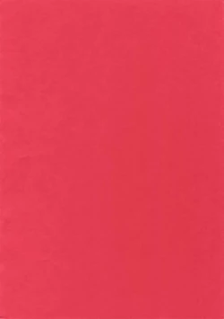 Page 2 of Mairasu Complex