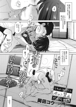 Page 26 of Uchi no apart pet kinshi dakara