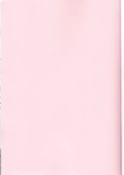 Page 2 of Mahou Shoujo Saimin PakopaCause