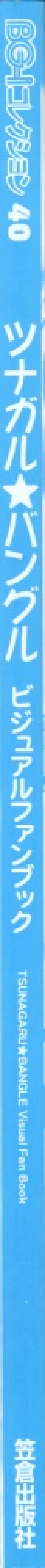 Page 128 of Tsunagaru Bangle - Visual Fan Book