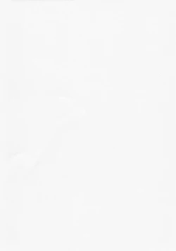 Page 29 of Yatta ne Sagiri-chan Shiryou ga Fueru ne!