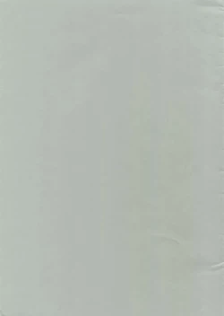 Page 2 of intelligent agent