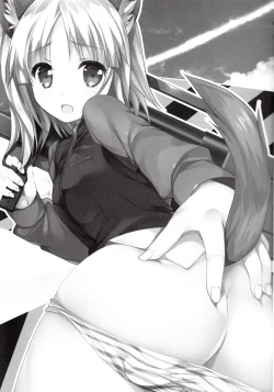 Page 4 of Rosemann Sensei de Test Flight