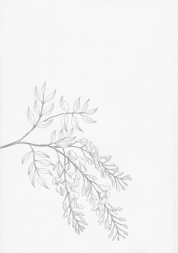 Page 20 of Hikari no Kimi no Saganaki Keikaku <Fujitsubo>