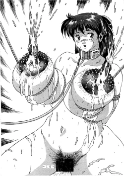 Page 16 of Anice-sensei Kannou Shashinshuu