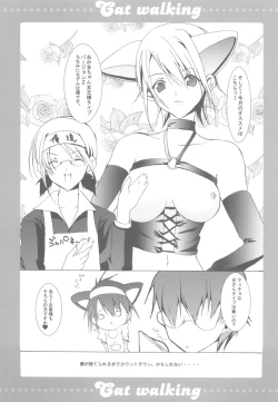 Page 20 of Cat walking