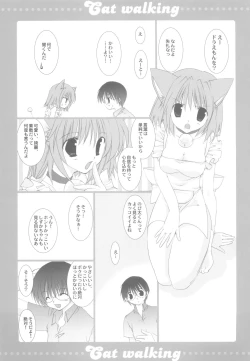 Page 6 of Cat walking
