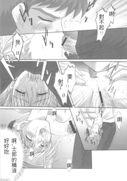 Page 84 of euphoria II+ ALLIANCE