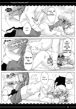 Page 13 of Punipuni Patchouli-sama