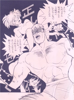 Page 13 of Meirei Denpa