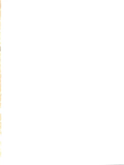 Page 2 of Sore Ike!! Borgman