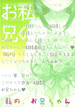 Page 39 of Watashi no, Onii-chan 4.5 Bangaihen