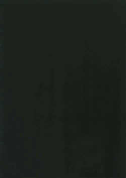 Page 2 of Something White