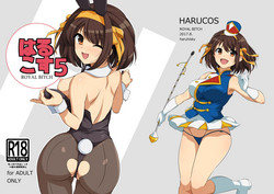 Download Harucos +5