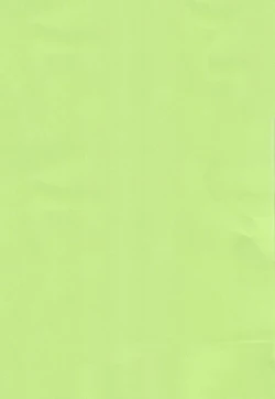 Page 2 of order MY DREAM!!